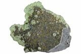 Green Fluorite on Sparkling Quartz - China #125169-1